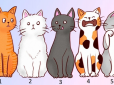 Виберіть кота і дізнайтеся, що думають про вас люди - психологічний тест по картинці