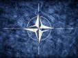 НАТО може ввести війська в Україну, - глава МЗС Польщі