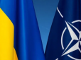 У Росії прокоментували заявку України на вступ до НАТО