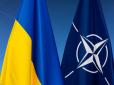 Білий дім прокоментував подачу Україною заявки на вступ до НАТО
