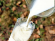 Що потрібно додати в молоко, щоб продовжити термін його придатності - дієвий лайфхак