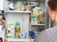 Відставити паніку: Скільки насправді холодильник та морозилка тримають холод без струму
