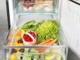 Заміна холодильнику: Як правильно зберігати овочі під час блекауту