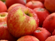 Як зберігати яблука, щоб не гнили до весни