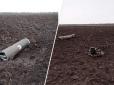 Не тільки ж Бєлгороду віддуватися: У Білорусі впала ракета від ЗРК С-300, - соцмережі