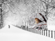 Всю Україну накриє найсильніший циклон: Синоптики попередили про потужний сніговий шторм