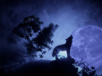 Зловісний Вовчий Місяць: Не робіть цього 7 січня, якщо не хочете накликати біду