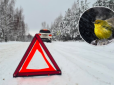 Україну огорне снігопад: Синоптик попередила про справжню зиму, яка ввірветься після аномального тепла