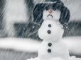В Україні погіршується погода: Синоптики оновили прогноз погоди на 2 лютого
