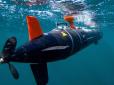Посилення ВМСУ: Українські військові у Бельгії навчаться керувати підводними дронами