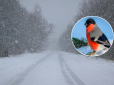 В Україну увірветься сильний шторм: Синоптики оголосили про небезпеку і сильний снігопад