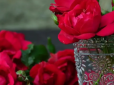 Трюки з цукром та аспірином не працюють: Що допоможе продовжити життя трояндам