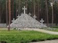 Де ховатимуть героїв війни за незалежність: Уряд практично визначився з локацією головного військового кладовища України