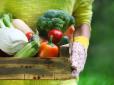 Деякі овочі в Україні продовжать дорожчати: Ціни зростуть на третину