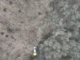 Не*** шастать! Під Бахмутом українські прикордонники знешкодили групу окупантів кількома снарядами (відео)