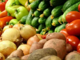 Ціни на огірки й помідори в Україні сягають більше 200 грн/кг: Коли чекати здешевлення