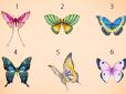 Чуттєві чи амбіційні? Виберіть метелика, який вам подобається - та дізнайтеся приховані риси своєї особистості