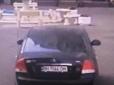 Незбагненна жорстокість: В Одесі два водії при свідках переїхали собак (фото)