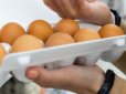 Яйця в Україні дешевшають: Економісти розповіли, якими будуть ціни до кінця червня