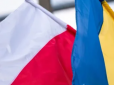 Польща намагається довгостроково заблокувати доступ агропродукції України на ринок ЄС, - Качка