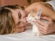 Які ознаки того, що кіт вас по-справжньому любить