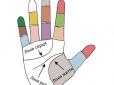 Лінія серця на руці: Як розпізнати знаки долі на вашій долоні