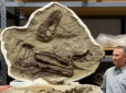 Вчені виявили останню трапезу 75-мільйонолітнього тиранозавра: Що це було (фото)
