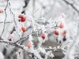 Народні прикмети на 24 січня. ​Народне свято 24 січня відоме під назвами Оксана-напівхлібниця та перелом зими. Небезпечний день для здоров'я