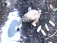 В очікуванні швидкої смерті: Окупанти під Авдіївкою п’ють воду з калюж (відео)