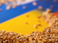 Не випадковість: Акцію з зерном на кордоні України організував маргінальний польський політик, - РНБО