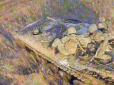 Путін марить успіхом: Після боїв за Авдіївку окупанти відправили в атаку на Роботине 70-річні танки, - Forbes