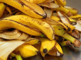 Бананові шкірки стануть у нагоді! ТОП-2 способи приготування добрива для орхідей у домашніх умовах