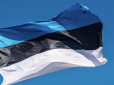 ЗСУ буде чим бити ворога: Естонія надасть Україні пакет військової допомоги на 20 млн євро