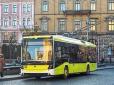 У Львові неадекватний пасажир тролейбусу побив палицею дівчинку (відео)