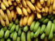 Коли колір має значення: Фахівець розповіла про різну користь споживання зелених та жовтих бананів