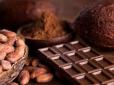 Шоколадна криза тільки починається: Чому улюблені солодощі можуть значно здорожчати
