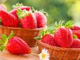 Дачникам на замітку! Як виростити великі та солодкі ягоди полуниці без хімії