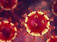 Хворів 613 днів і помер: Мешканець Нідерландів встановив рекорд із тривалості коронавірусу