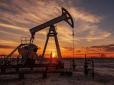 Погана новина для росіян: ОПЕК+ планує збільшити видобуток нафти, - Bloomberg