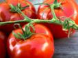 Українцям продають вітчизняні помідори майже удвічі дорожче за турецькі: У чому причина