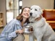 Секрети збалансованого харчування собак: корисні рекомендації