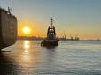 Завдяки розгрому ЧФ ВМС Росії: Експорт сільгосппродукції з чорноморських портів України сягнув довоєнного рівня, - дипломат