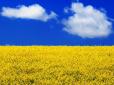 В українців почнуть забирати землю: Що потрібно оформити і які нюанси варто знати