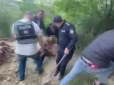 Почули стогін та благання з-під землі: У Молдові поліція врятувала чоловіка, котрого злочинець поховав живцем (відео)