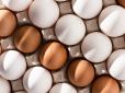 А ви це знали? Коричневі чи білі яйця - у чому різниця і що краще для вашого здоров'я