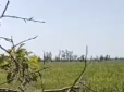 Постріл був влучний: Нацгвардія знищила Су-25 у Донецькій області з 