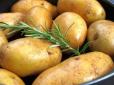 А ви це знали? Навіщо під час варіння картоплі в шкірці додавати лимонний сік