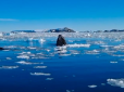 Посеред Антарктичної зими: Полярники зі станції 