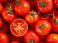 Є секрет! Як зберегти свіжість та соковитість томатів - цікавий лайфхак