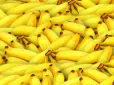 ТОП-5 причин їсти банани щодня - користь для серця, травлення та настрою